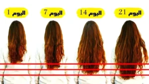 تطويل صاروخي.. اسرع 7 زيوت سحرية لتطويل وتغزير الشعر بسرعه فائقه شعرك هيبقي للركب